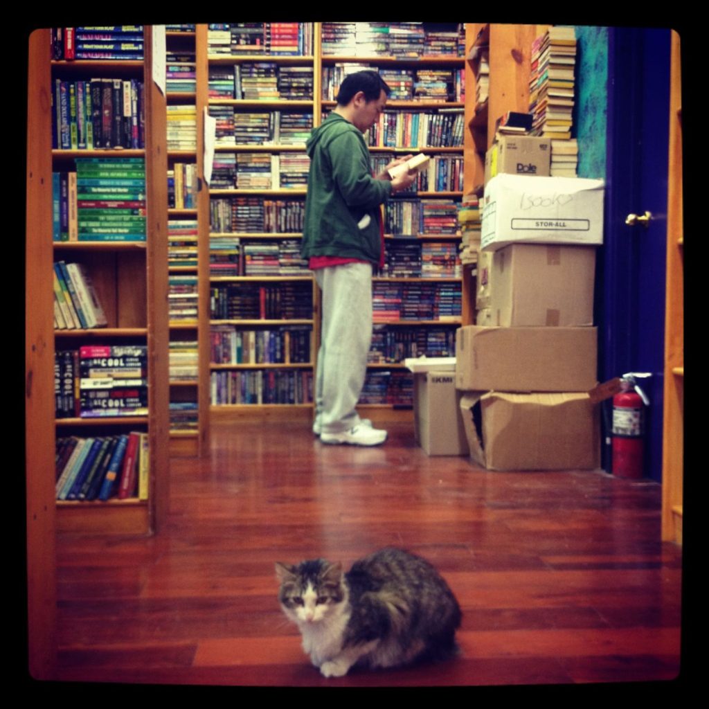 Man in bookstore, with cat, thinking about editing.